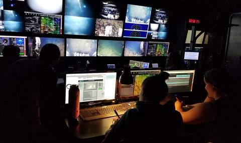 Undergraduate researchers at Woods Hole